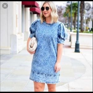 who what wear PLUS 3X Denim Mini Dress NEW